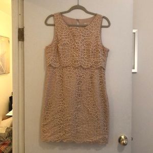 JCrew Lace Cut Dress